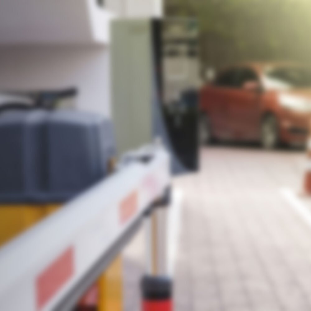 Nullam Tristique Qam Sem