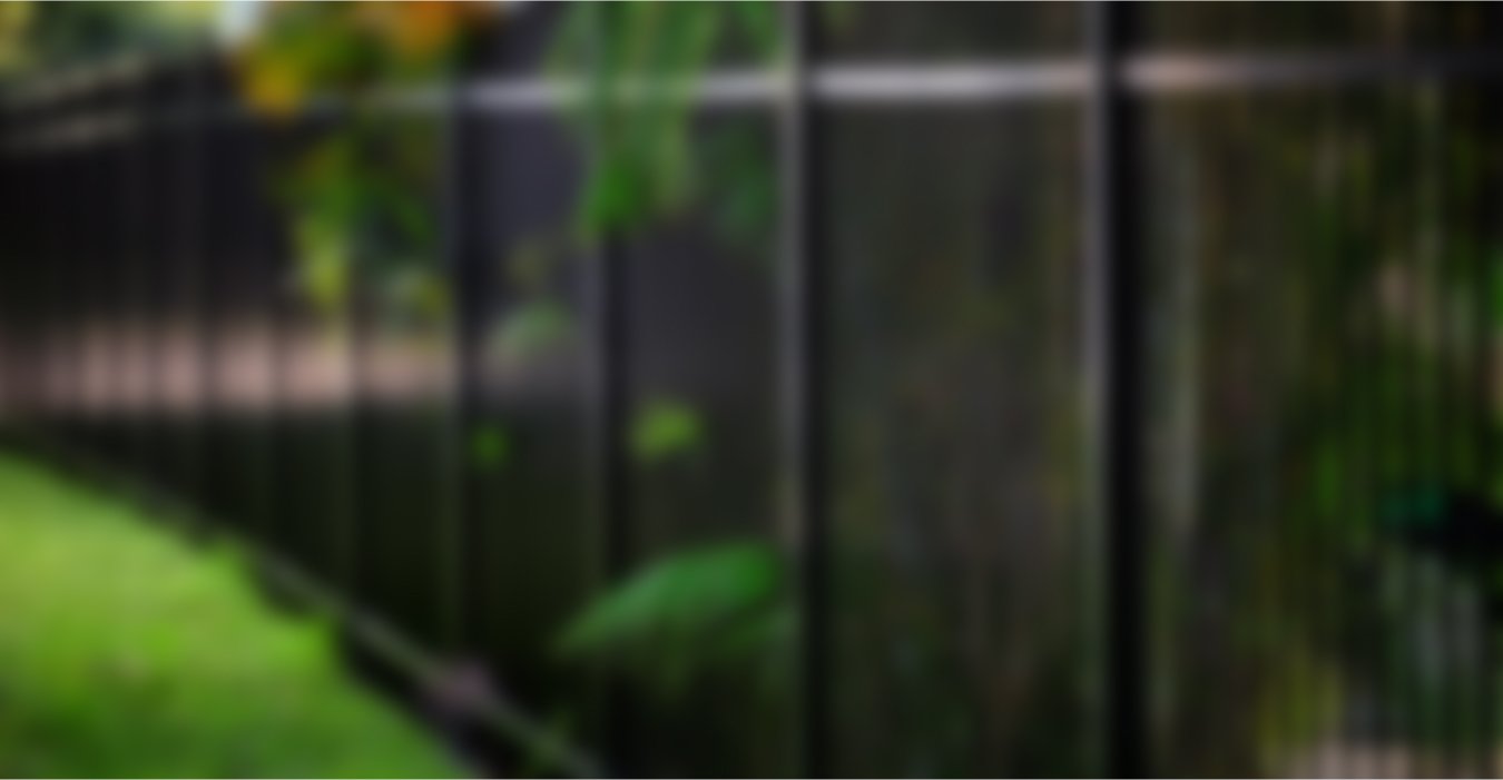 Vivamus Luctus Dui Vitae Purus